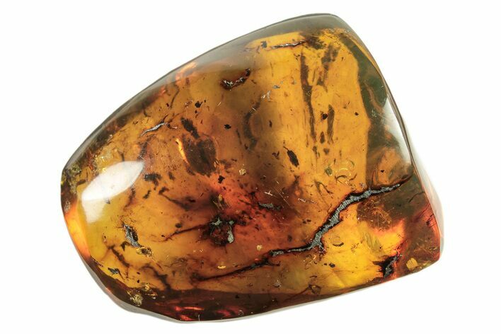 Polished Chiapas Amber ( g) - Mexico #274432